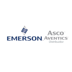 logo EMERSON ASCO
